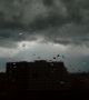 15 сигнала за щети след бурята в София