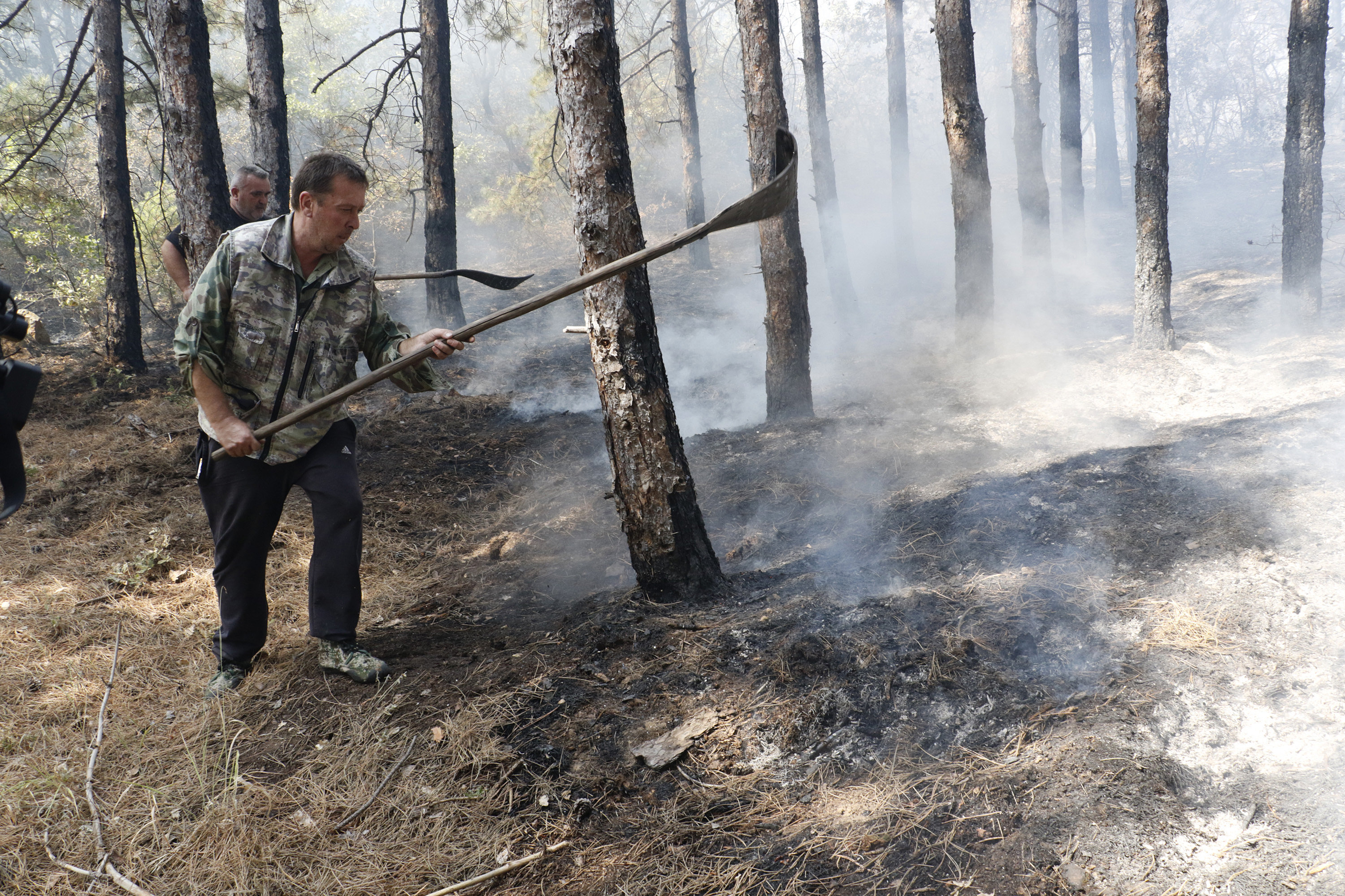Локализиран е големият горски пожар в Сакар планина между свиленградските
