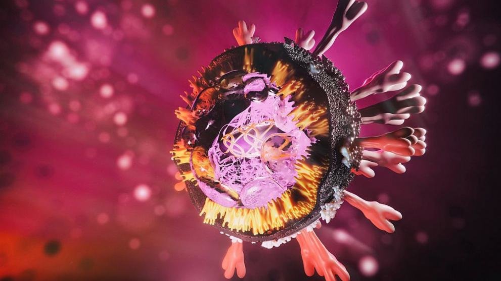 Нивата на антитела срещу новия коронавирус са се повишили и