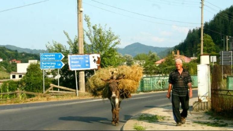 В община Неделино е обявено бедствено положение заради продължително безводие