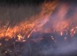 Горските пожари в САЩ взеха поне 9 жертви