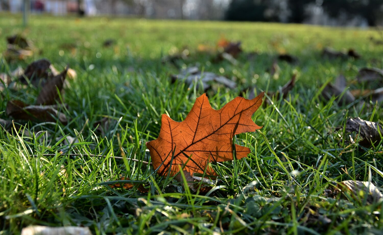 Днес ще преобладава слънчево време с висока и средна облачност