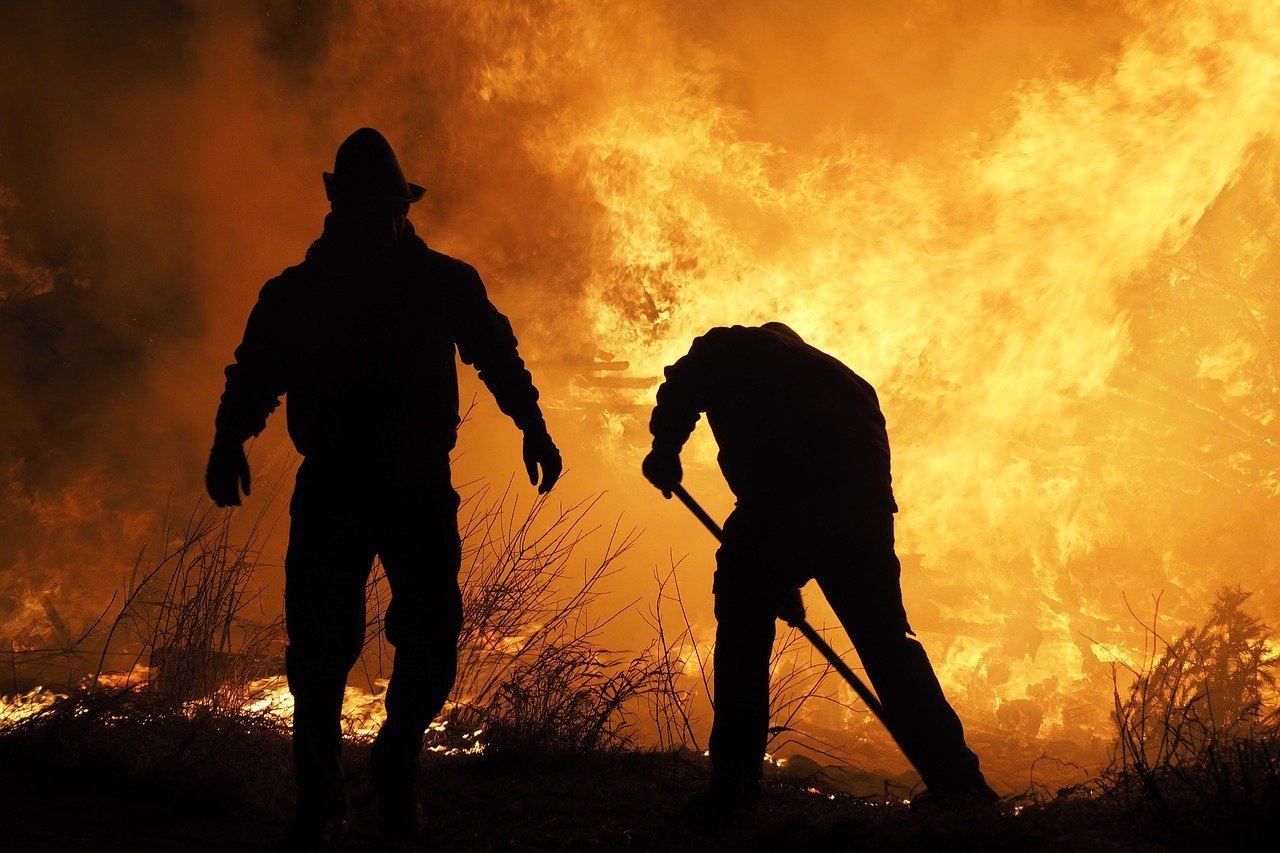 Втори ден продължава горският пожар край Хасковско, предаде бТВ.  Огънят