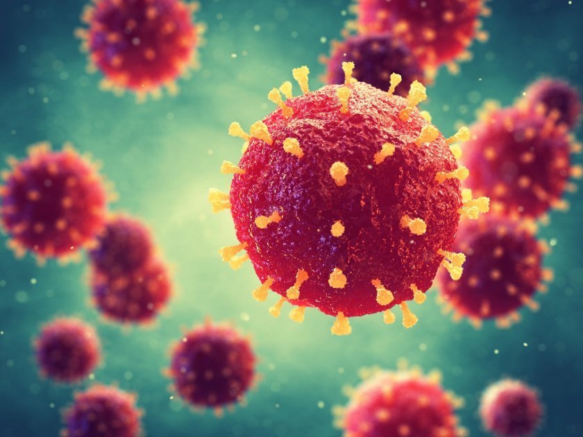 Новият коронавирус може да оцелее върху човешка кожа до девет часа, четири