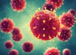 Изследване: Коронавирусът се задържа върху кожата до 9 часа