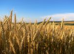 Кредит 'Агроподкрепа' от Fibank в помощ на българското земеделие