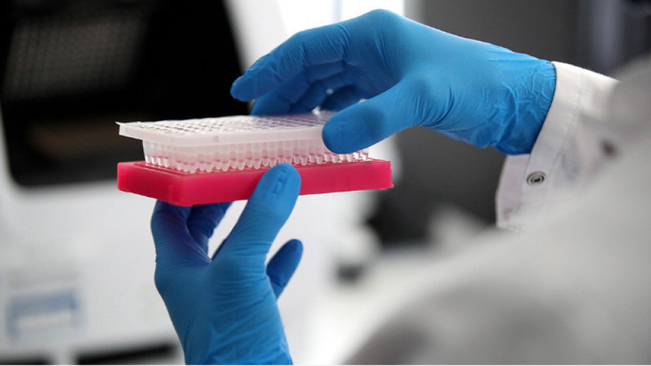 Паралелки от три училища в Добрич са поставени под карантина