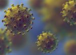 Повторното заразяване с коронавирус буди тревоги за имунитета