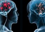 Бразилски учени: Коронавирусът убива неврони в главния мозък