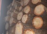 20-минутна гонка на камион с 15 кубика дърва в Пазарджишко