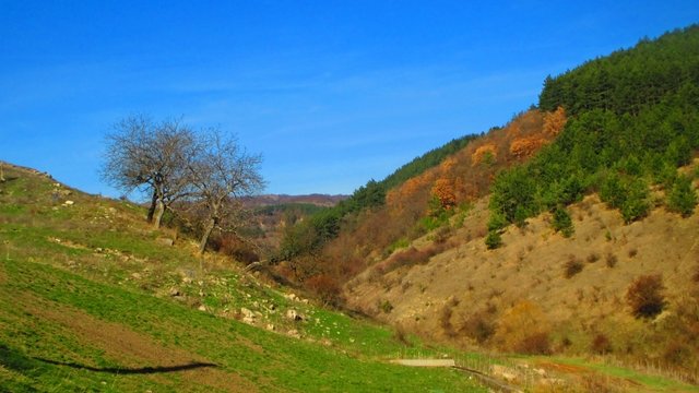 Ловци намериха човешки останки край софийското село Желява. Те са