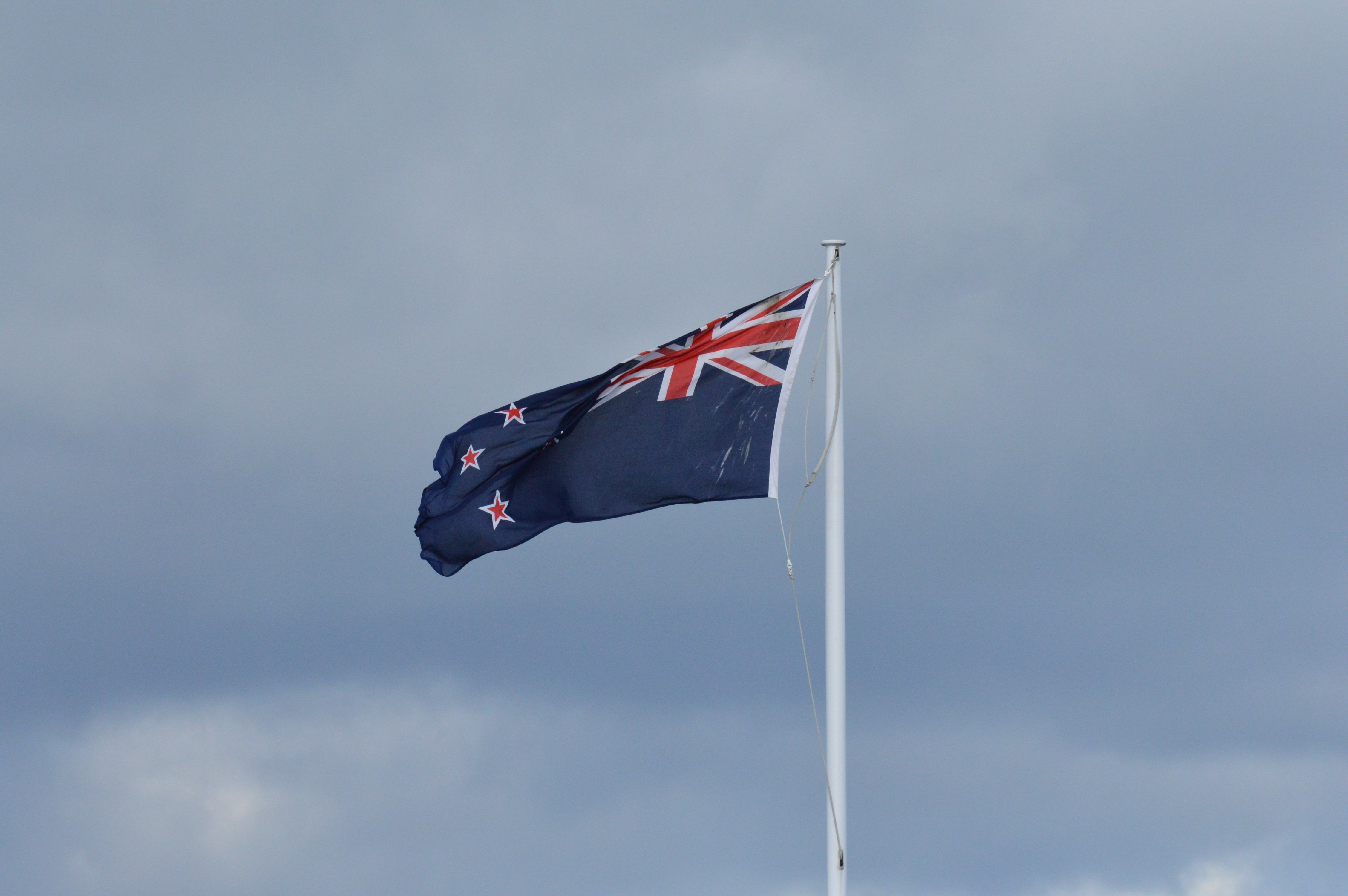 Новозеландците гласуваха в подкрепа на легализирането на евтаназията но не