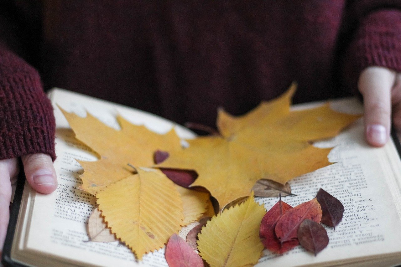 В контекста на най хубавия ноемврийски празник предложенията ни за интересните заглавия на