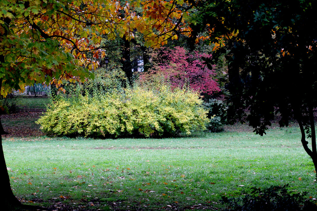 Вижте Борисовата градина в краските на есента през обектива на