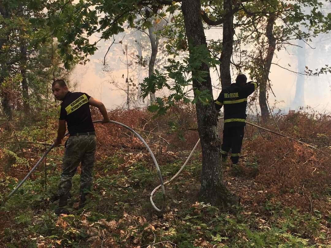 488 пожара са възникнали в горските територии на страната от