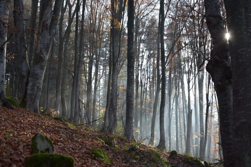 Предимно облачно ще е времето днес на отделни места ще