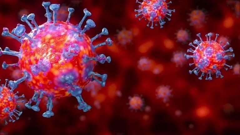 2498 са новите случаи на заразени с коронавирус у нас