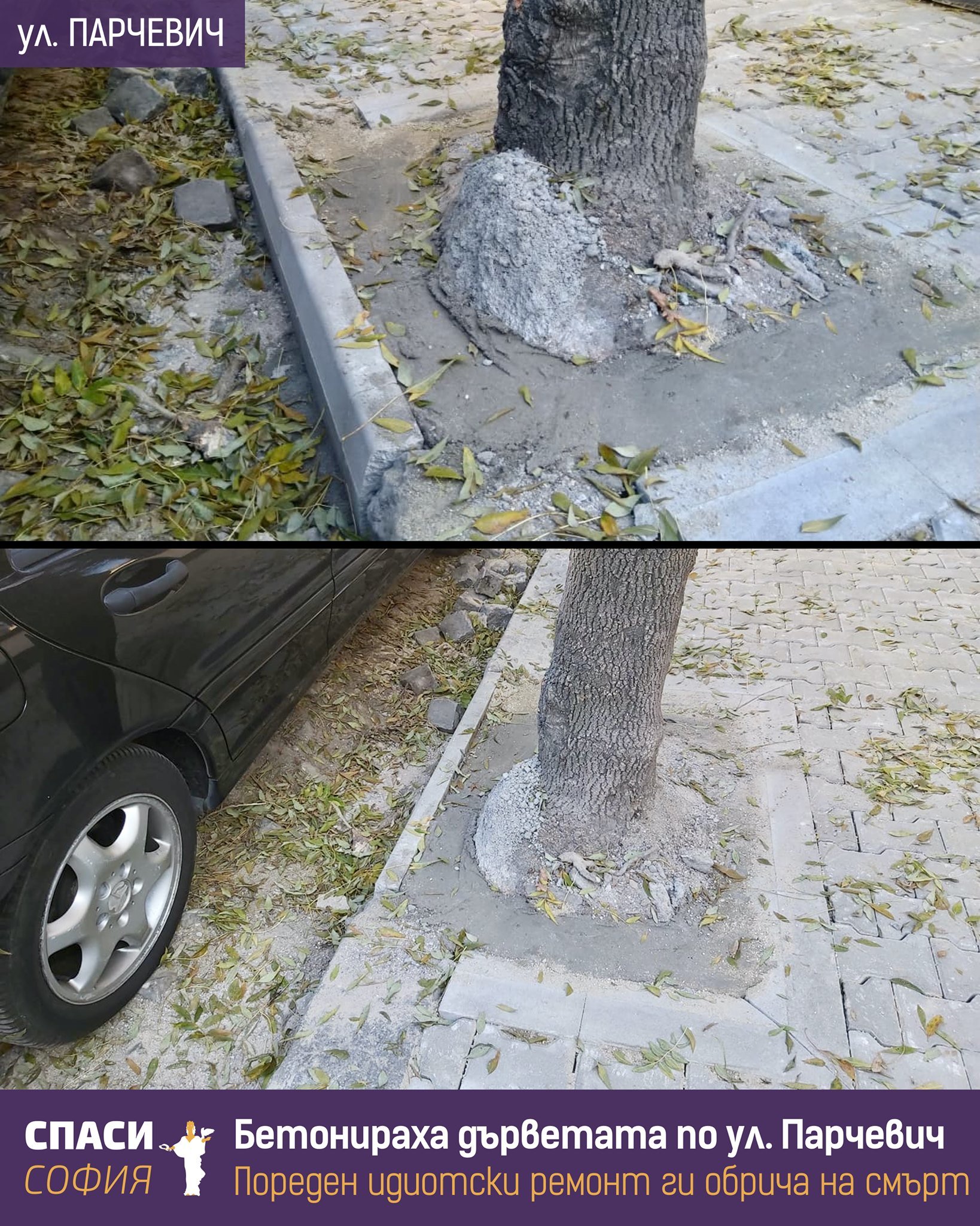 Отново има бетонирани дървета в центъра на София съобщиха във