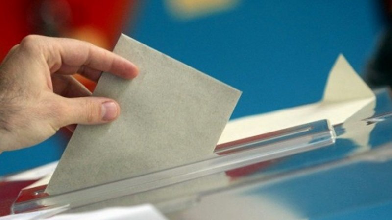 Нидерландия отвори драйв ин избирателна секция за местните избори в югоизточната