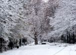 Зимна приказка в София в снимки