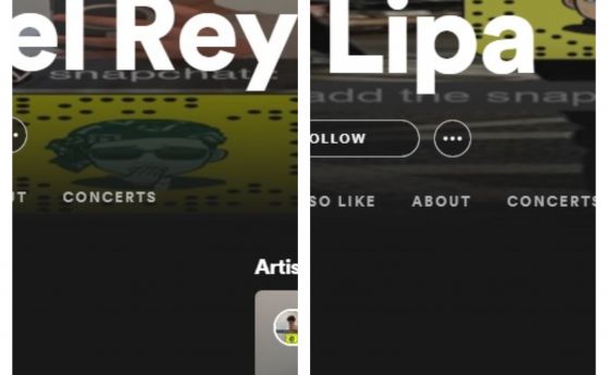 Пробив в Spotify: хакнаха Lana Del Rey и Dua Lipa