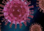 Гърция удължава локдауна до 7 януари, а Дания въвежда по-строги мерки срещу коронавируса