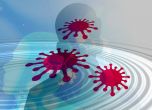 1799 нови случая на коронавирус - 28,8% от тестваните, 2424 излекувани