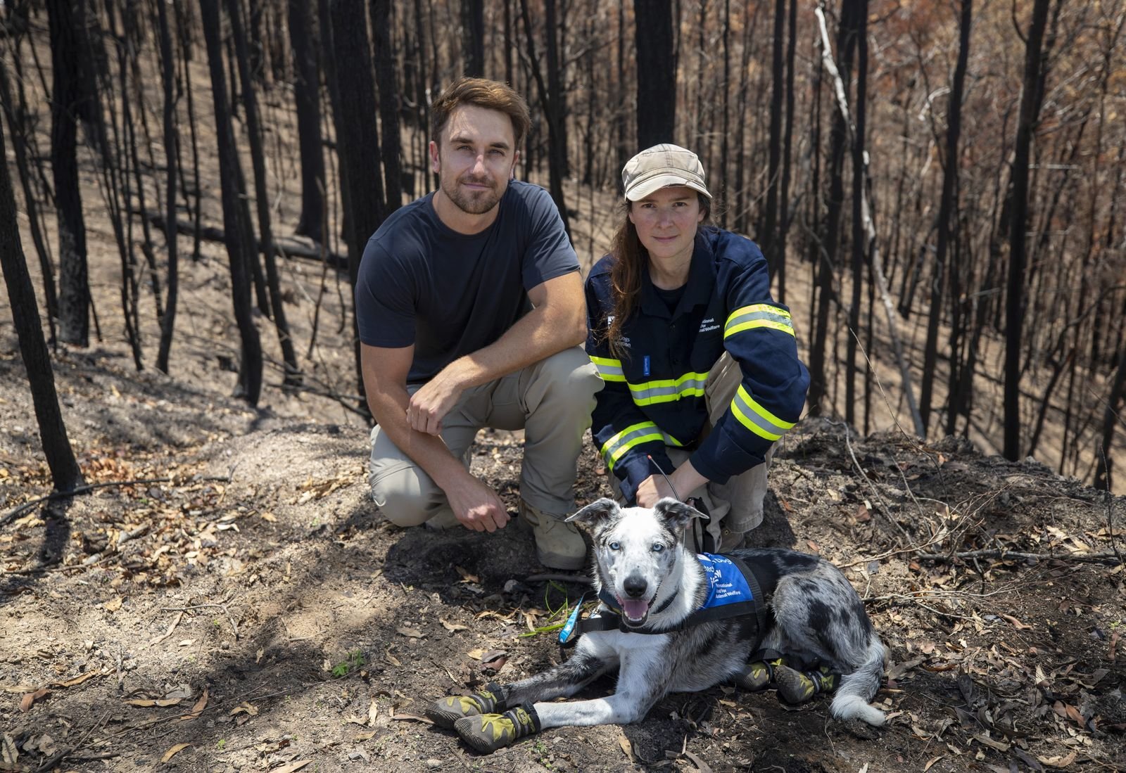 Куинсланд Австралия бе ударен от опостушителни пожари в австралийското лято