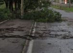 Силен вятър събори дървета върху коли и спря тока в части от страната. Трън обяви бедствено положение