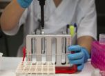 Германия въвежда задължителен PCR за влизащите от България