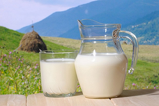 Прясното мляко в България масово е с добавена млечна пудра