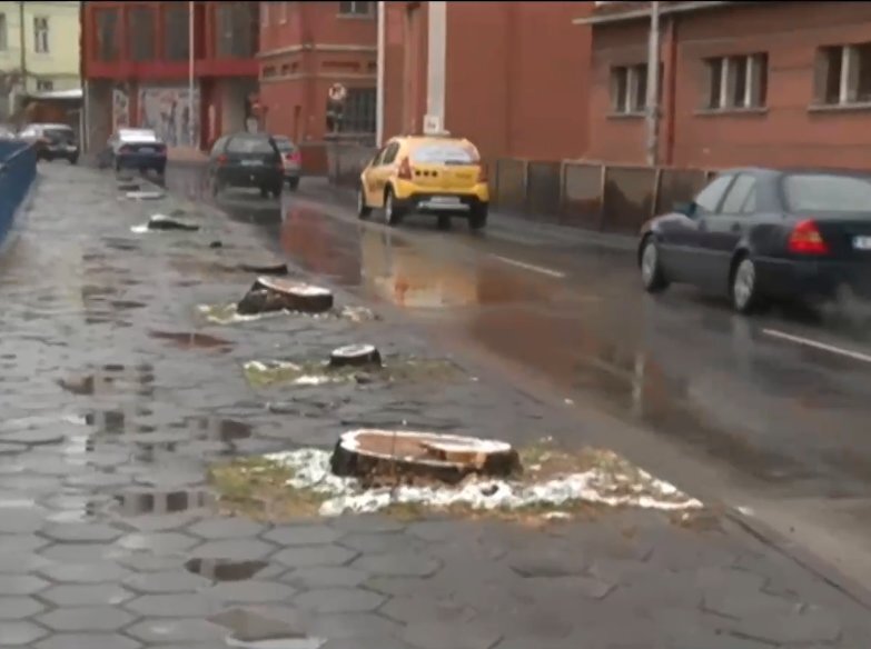 Може би най автентичният символ на Хасково тополите възпети в