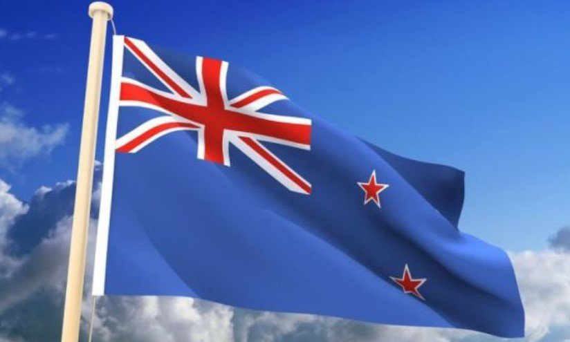 Жените в Нова Зеландия които са направили спонтанен аборт или