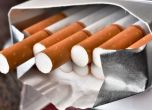 В Плевен, Видин и Варна пушат най-много цигари без бандерол
