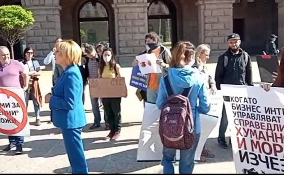 Затваряне на единствената ферма за норки у нас поискаха протестиращи начело с Мая Манолова (на живо)
