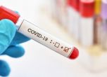 Само трима новозаразени с COVID-19 в София, още 17 души с коронавирус починаха