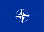 НАТО призова за незабавно освобождаване на задържаните от отклонения в Минск самолет