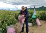 Цветан Цветанов се притече на помощ на българските розопроизводители (снимки и видео)