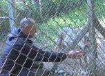 Затварят зоопарка в Кюстендил