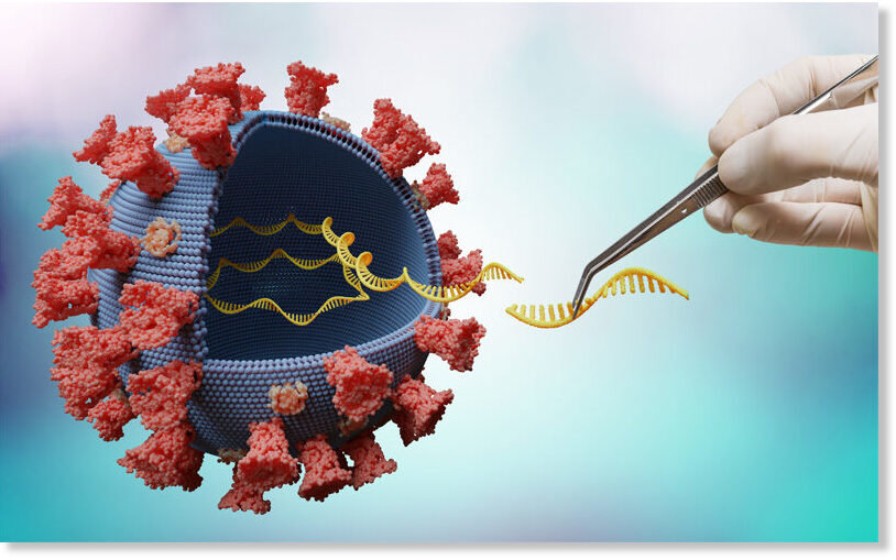 Индийският вариант Делта на COVID 19 вече е доказан и у