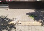 Парче от фасада падна в София, кметът на Красно село с предписание за собствениците