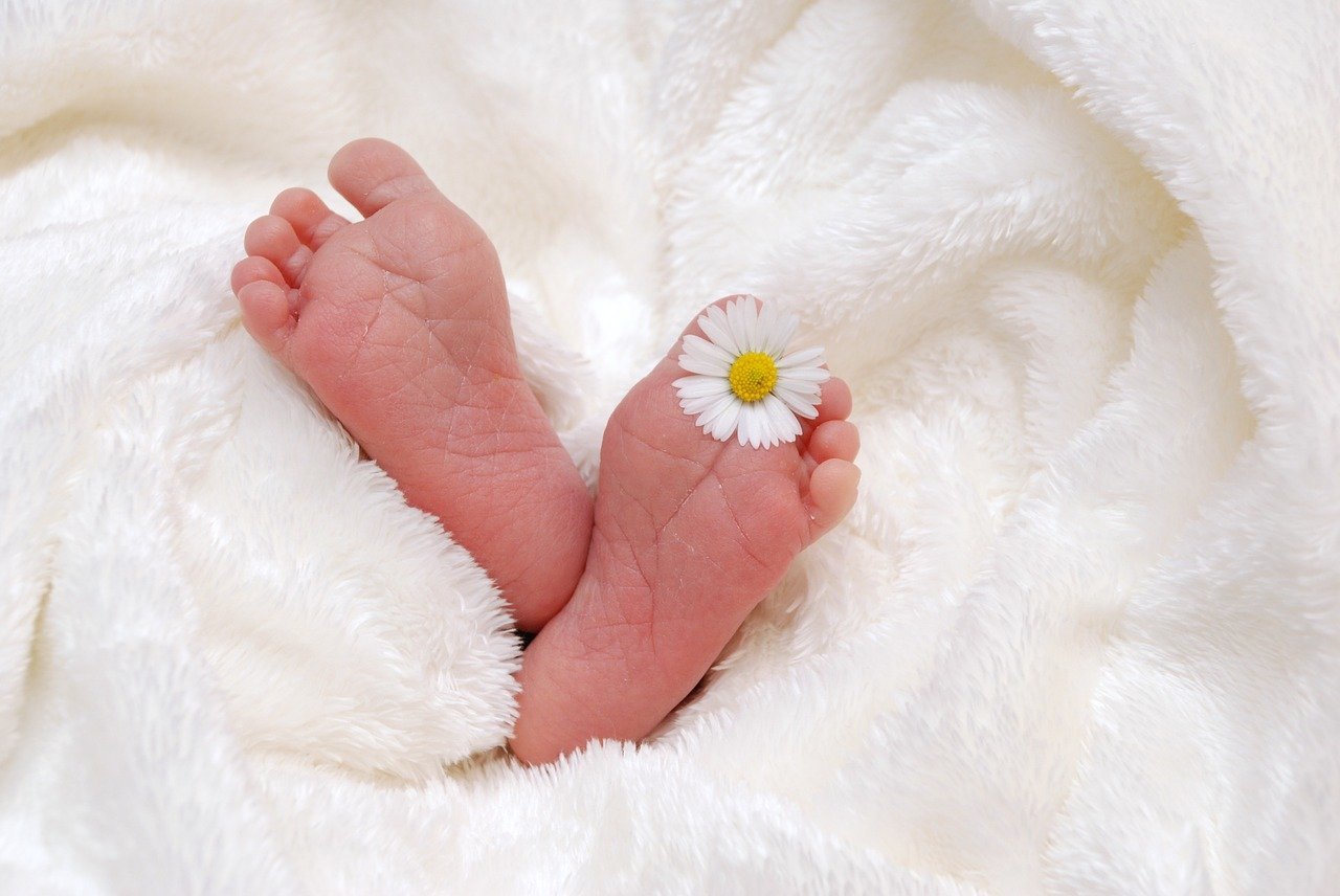 26 са вече инвитро бебетата родени с финансовата помощ на