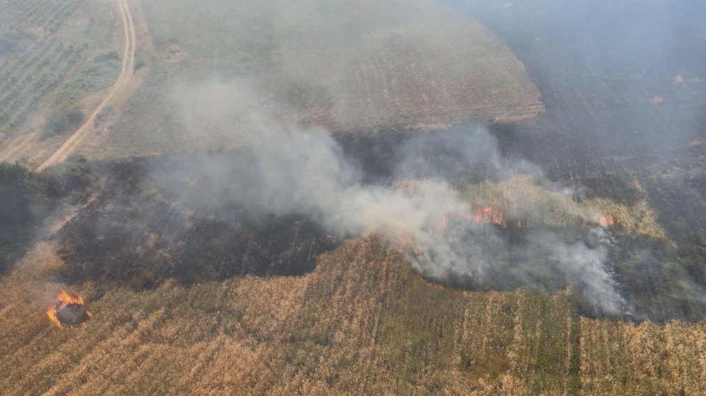 Голям пожар в Благоевградско Горят земеделски площи между селата Българчево