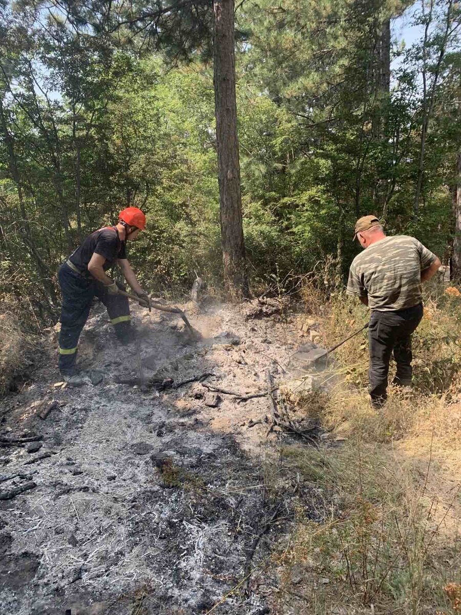 Избухналият вчера пожар в землището на град Твърдица е локализиран