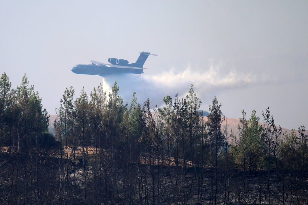 Турският президент Реджеп Тайип Ердоган обяви зоните на горски пожари
