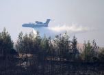 Ердоган обяви за бедстващи зони местата с пожари в Анталия, Мугла, Мерсин, Адана и Османия (Снимки)