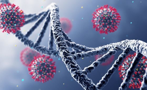 182 са новите случаи на коронавирус у нас през последното