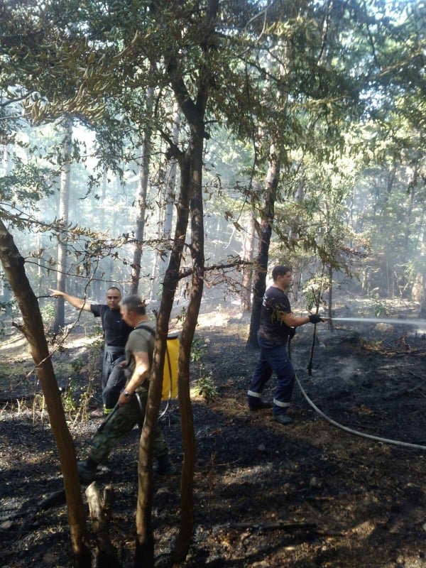Девет активни пожара бушуват в България и днес Два са