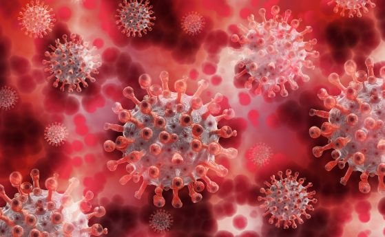 392 са новите случаи на коронавирус у нас при направени