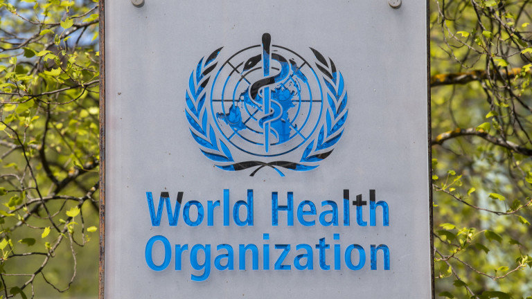 Световната здравна организация СЗО очерта днес следващите стъпки необходими за